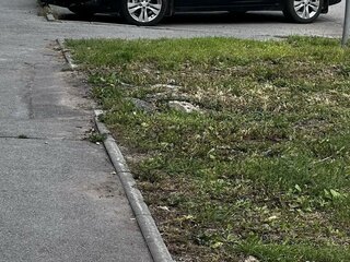 2012 Chevrolet Cruze I Рестайлинг, чёрный, 710000 рублей, вид 3