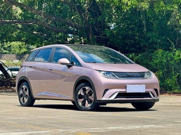 2024 BYD Dolphin 44.9 kWh I, розовый, 1250000 рублей - вид 2