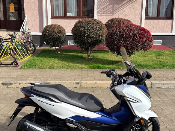 2019 Honda Forza, белый, 550000 рублей - вид 3
