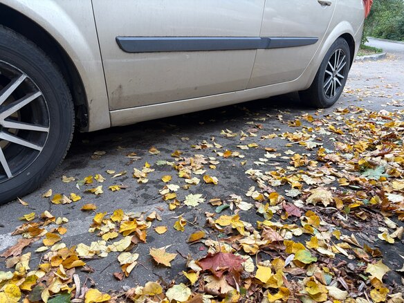 2006 Renault Scenic Grand II Рестайлинг, золотистый, 450000 рублей - вид 10