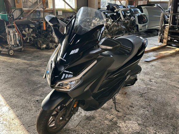2023 Honda Forza, чёрный, 710000 рублей
