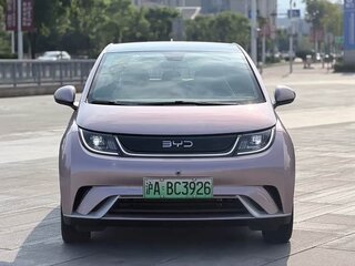 2022 BYD Dolphin 44.9 kWh I, розовый, 1300000 рублей, вид 5