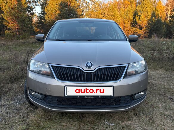 2017 Skoda Rapid I Рестайлинг, бежевый, 1190000 рублей - вид 12