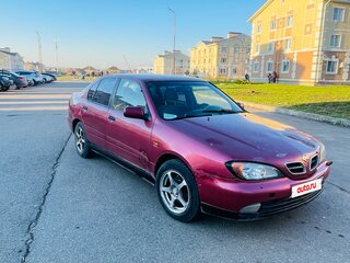 2001 Nissan Primera II (P11) Рестайлинг, красный, 95000 рублей, вид 1