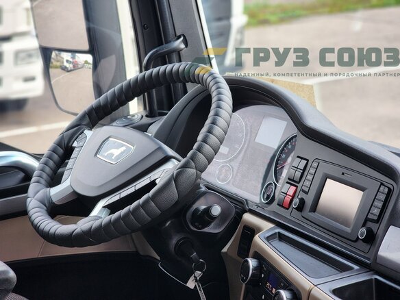 2019 MAN TGX, белый, 5990000 рублей - вид 13
