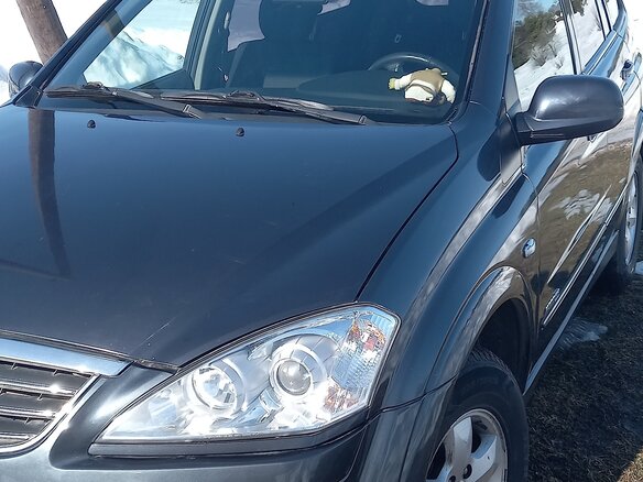 2014 SsangYong Kyron I Рестайлинг, серый, 800000 рублей