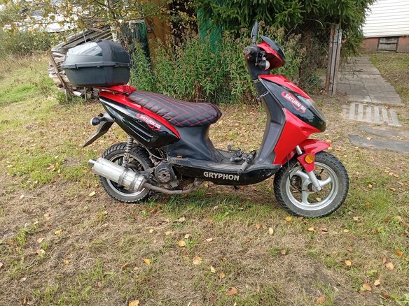 2018 Gryphon Sting, красный, 45000 рублей - вид 1
