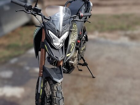 2024 Avantis Tourist 250, чёрный, 205000 рублей, вид 2