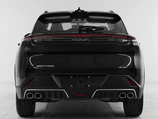 2025 Dongfeng Mage, чёрный, 2560000 рублей, вид 5