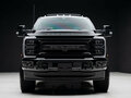 2025 Ford F-250, чёрный, 13800000 рублей - вид 5