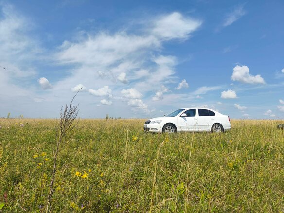 2012 Skoda Octavia II (A5) Рестайлинг, белый, 1100000 рублей - вид 6