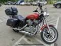 2014 Harley-Davidson Sportster 1200, оранжевый, 790000 рублей