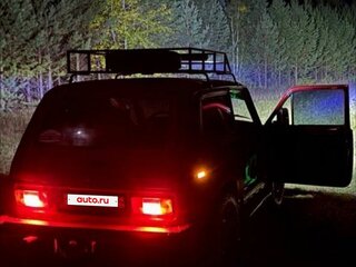 1982 Lada (ВАЗ) 2121 (4x4) I, красный, 240000 рублей, вид 5