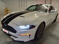 2022 Ford Mustang VI Рестайлинг, белый, 3795000 рублей - вид 4