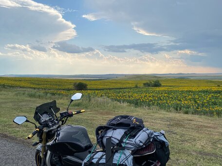 2007 Honda CB 600F Hornet, чёрный, 450000 рублей, вид 3