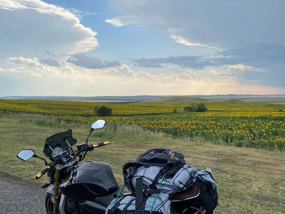 2007 Honda CB 600F Hornet, чёрный, 430000 рублей - вид 2