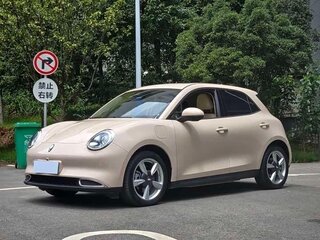 2024 Ora Good Cat 46 kWh I, белый, 1570000 рублей, вид 2
