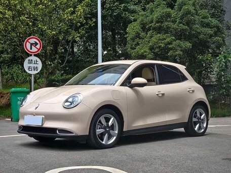 2024 Ora Good Cat 46 kWh I, белый, 1570000 рублей, вид 2