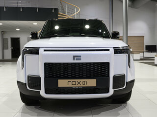 2026 Rox 01, белый, 8510000 рублей, вид 3
