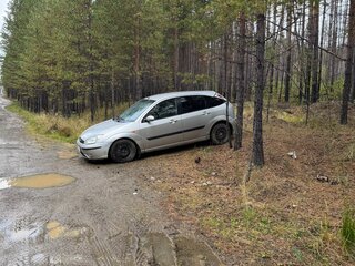 2004 Ford Focus I Рестайлинг, серебристый, 230000 рублей, вид 3