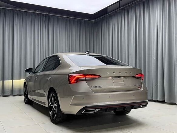 2023 Skoda Octavia IV (A8), коричневый - вид 5