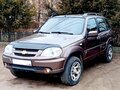 2013 Chevrolet Niva I Рестайлинг, коричневый, 555000 рублей - вид 1