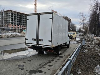 2010 ГАЗ ГАЗель (3302), белый, 895000 рублей, вид 4