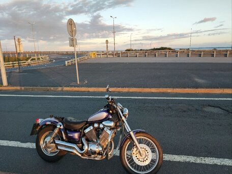 1994 Yamaha XV400 Virago, синий, 220000 рублей, вид 3