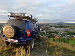 2008 Chevrolet Niva I, синий, 350000 рублей, вид 4