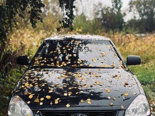 2008 Lada (ВАЗ) Priora I, чёрный, 240000 рублей, вид 5