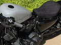 2020 Harley-Davidson Sportster 1200, серый, 1900000 рублей - вид 3