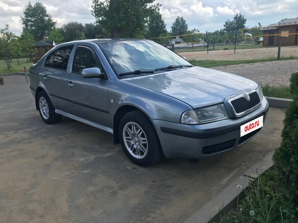 2004 Skoda Octavia I (A4) Рестайлинг, серый - вид 1