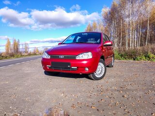 2009 Lada (ВАЗ) Kalina I, красный, 400000 рублей, вид 2