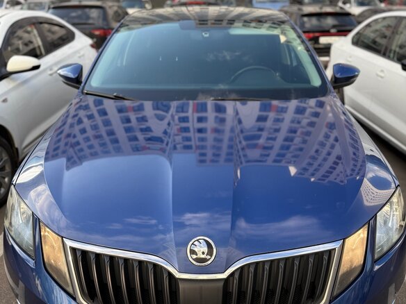 2018 Skoda Octavia III (A7) Рестайлинг, синий, 1549500 рублей - вид 17