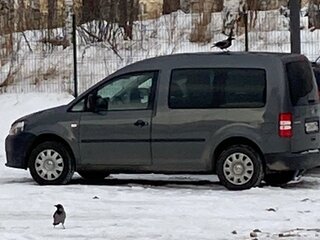 2010 Volkswagen Caddy III Рестайлинг, серый, 864000 рублей, вид 4