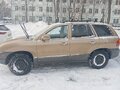 2003 Hyundai Santa Fe I, коричневый, 465000 рублей - вид 4