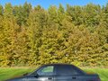 2005 Lada (ВАЗ) 2110, чёрный, 150000 рублей - вид 6