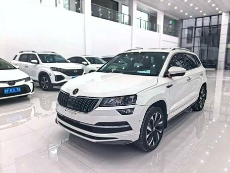 Skoda Karoq I