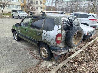 2005 Chevrolet Niva I, серебристый, 200000 рублей, вид 4