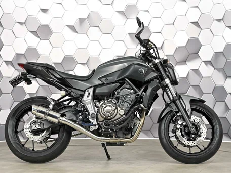 2014 Yamaha MT-07 (FZ-07), серый, 699000 рублей, вид 3
