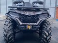 2021 CFMoto CFORCE 600 EPS, зелёный, 890000 рублей - вид 8