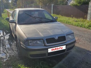 2005 Skoda Octavia I (A4) Рестайлинг, золотистый, 290000 рублей, вид 2