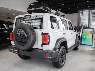 2026 Tank 300 I, белый, 4799000 рублей, вид 5