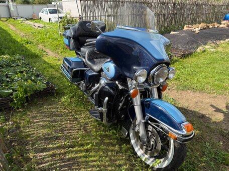 2002 Harley-Davidson Electra Glide, синий, 595000 рублей, вид 3