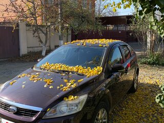 2008 Ford Focus II Рестайлинг, коричневый, 550000 рублей, вид 2