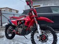 2025 BSE T9, красный, 299000 рублей - вид 5