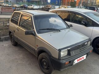 2002 Lada (ВАЗ) 1111 Ока СеАЗ, бежевый, 200000 рублей, вид 3