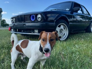 1985 BMW 3 серии 316 II (E30), чёрный, 380000 рублей, вид 3