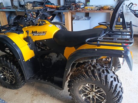 2016 Stels ATV-600YL Леопард, жёлтый, 490000 рублей, вид 3