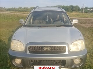 2002 Hyundai Santa Fe I, серебристый, 370000 рублей, вид 3